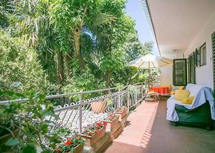 Daire Prekalj Jelena *